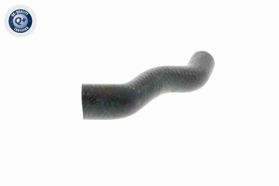 FURTUN RADIATOR VAICO V201772 4