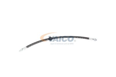 FURTUN FRANA VAICO V460285 57