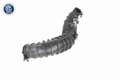 FURTUN EAR SUPRAALIMENTARE ACKOJA A520641 5