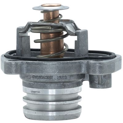 Termostat, chladivo MOTORAD 481-92K