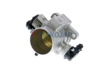 CARCASA CLAPETA ACKOJA A53810006 17