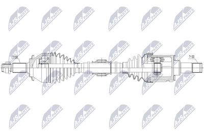 полуоска NTY NPW-TY-295