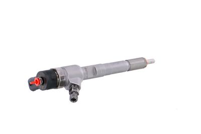 INJECTOR REMANTE 002003001022R 34