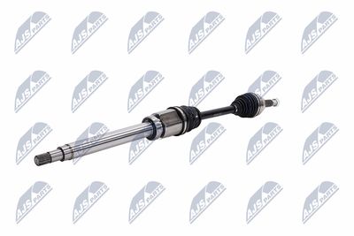 PLANETARA NTY NPWFR054 3