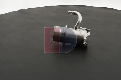 KüHLER ABGASRüCKFüHRUNG AKS DASIS 040088N 7