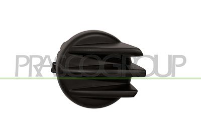 Kryt, mlhovka PRASCO FT9221249