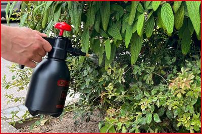 Vorschau Pumpsprühflasche Ansicht 8