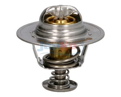 Thermostat, Kühlmittel