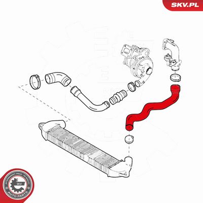 FURTUN EAR SUPRAALIMENTARE ESEN SKV 24SKV904 2
