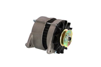 GENERATOR / ALTERNATOR REMANTE 011003000232R 47