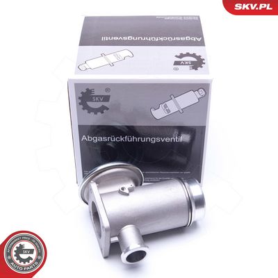 SUPAPA EGR ESEN SKV 14SKV175 1
