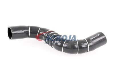 FURTUN EAR SUPRAALIMENTARE ACKOJA A389602 37