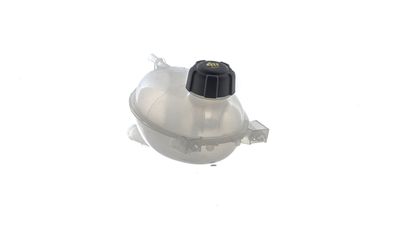 VAS DE EXPANSIUNE RACIRE MAHLE CRT292000S 24