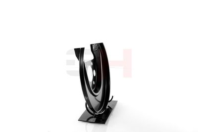 PROTECTIE STROPIRE DISC FRANA GH GH484778H 17