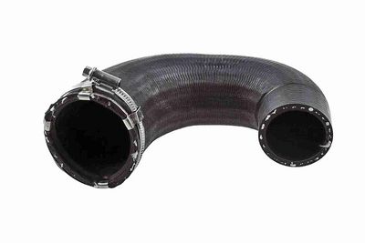 FURTUN EAR SUPRAALIMENTARE