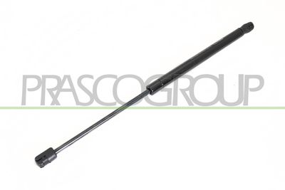 GASFEDER KOFFER-/LADERAUM