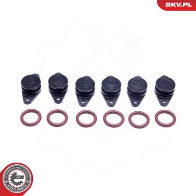 Remonto komplektas, įsiurbimo kolektoriaus modulis