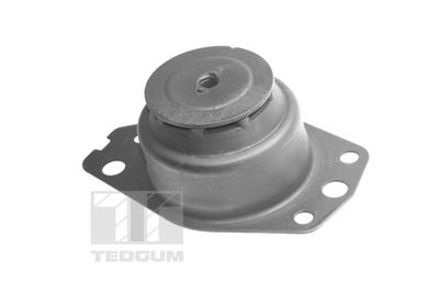 SUPORT MOTOR TEDGUM TED96035