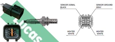 SONDA LAMBDA