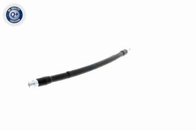 FURTUN FRANA VAICO V104223 5