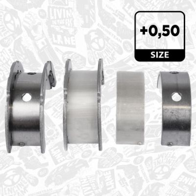 SET RULEMT ARBORE COTIT ET ENGINETEAM LH003850 2