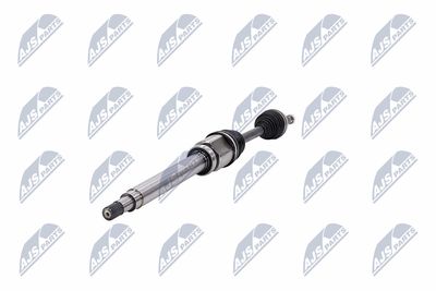 PLANETARA NTY NPWFR054 37