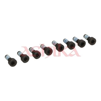 ASHIKA Schraube, Zahnkranzträger-Schwungrad