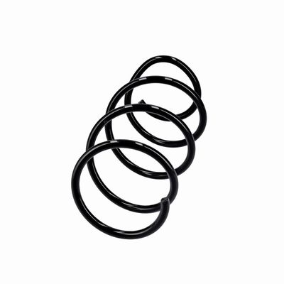 ARC SPIRAL EIBACH R10875 14