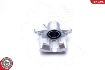 Brake Caliper 23SKV191