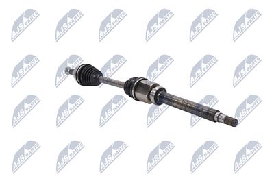 PLANETARA NTY NPWFR080 29