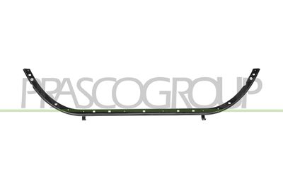основа, броня PRASCO FT9301620
