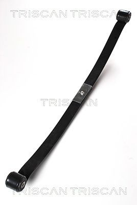 TRISCAN Federnpaket