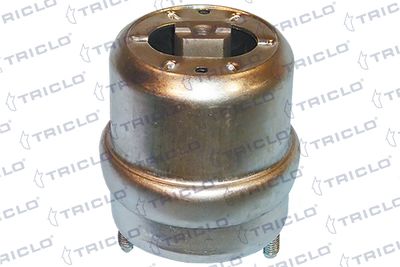 окачване, двигател TRICLO