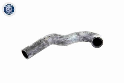 FURTUN RADIATOR VAICO V300227 1