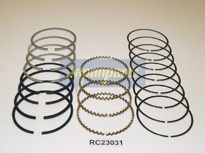 SEGMENT PISTON