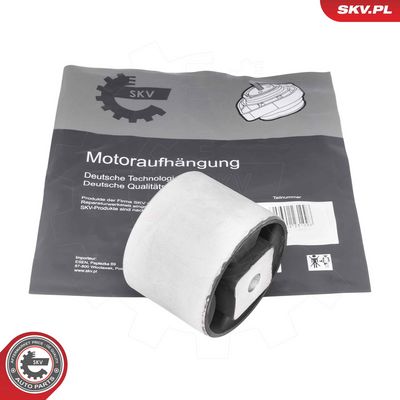 ESEN SKV Variklio montavimas