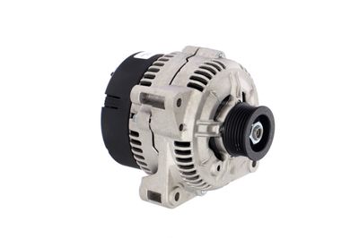 GENERATOR / ALTERNATOR REMANTE 011003000102R 51