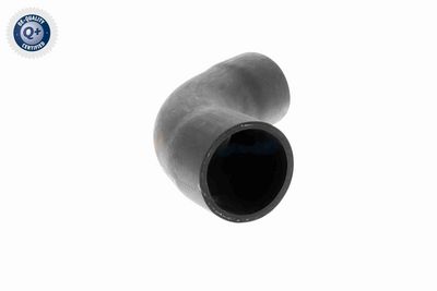 FURTUN EAR SUPRAALIMENTARE VAICO V201622 7