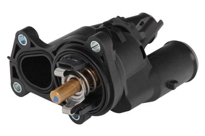 TERMOSTAT LICHID RACIRE