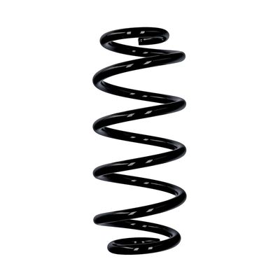ARC SPIRAL EIBACH R10135 25