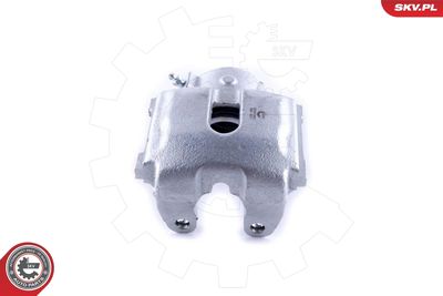 Brake Caliper 55SKV601