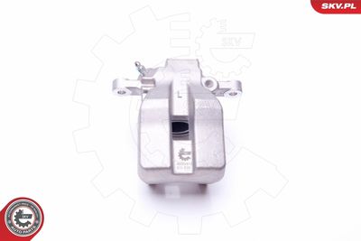 Brake Caliper 45SKV813