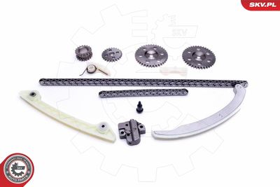 Timing Chain Kit 21SKV231