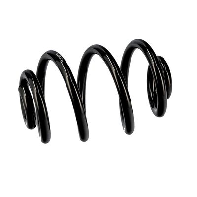 ARC SPIRAL EIBACH R10106 6