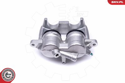 Brake Caliper 46SKV634