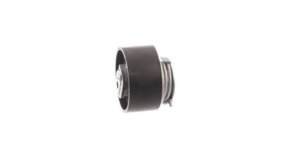 ROLA INTINZATOR CUREA DISTRIBUTIE SKF VKM13262 29