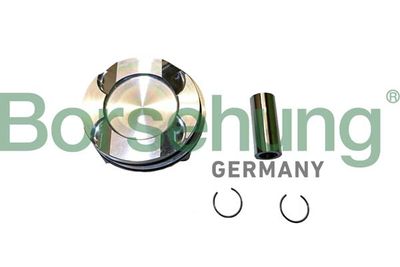 SET SEGMENTI PISTON Borsehung B11146
