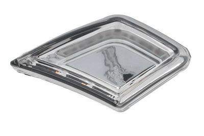 Controlelampje, zijkant Rechts (kleur van het glas: chroom, LED, parkeerlicht) past: MERCEDES ACTROS MP4 / MP5 07.11-
