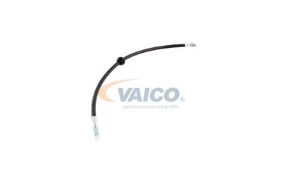 FURTUN FRANA VAICO V201909 52