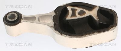 Łożyskowanie silnika TRISCAN 8505 28111